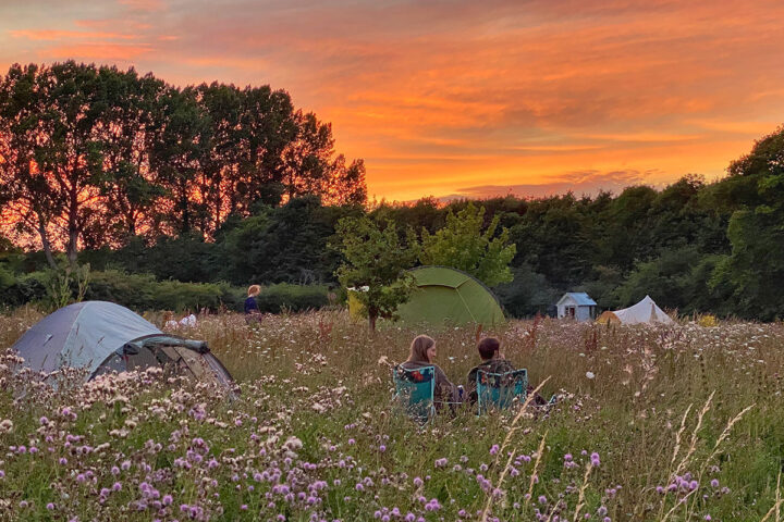 Wardley Hill Camping & Glamping