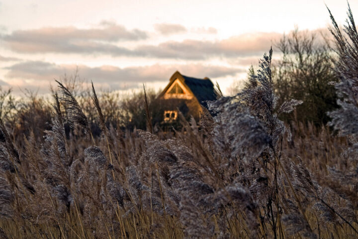 The Good Hide Guide: The best places to go bird watching in the Broads