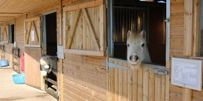 Redwings Horse Sanctuary Visitor Centre Caldecott image 2