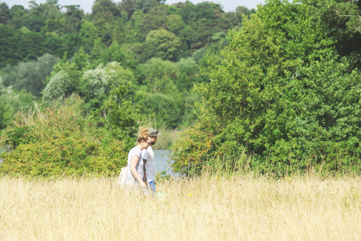 Exploring the Broads by bus from Norwich