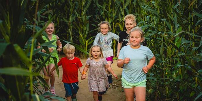 Kids enjoying outdoor games and activities
