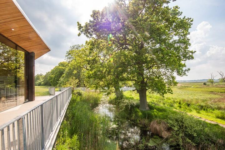 Carlton Marshes Nature Reserve - Suffolk Wildlife Trust