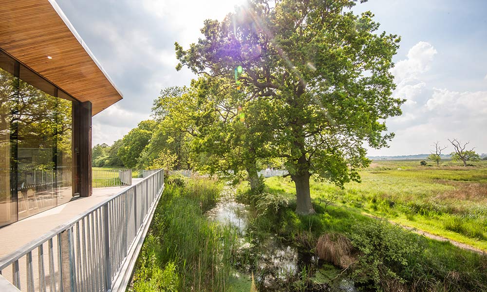 Carlton Marshes Nature Reserve - Suffolk Wildlife Trust