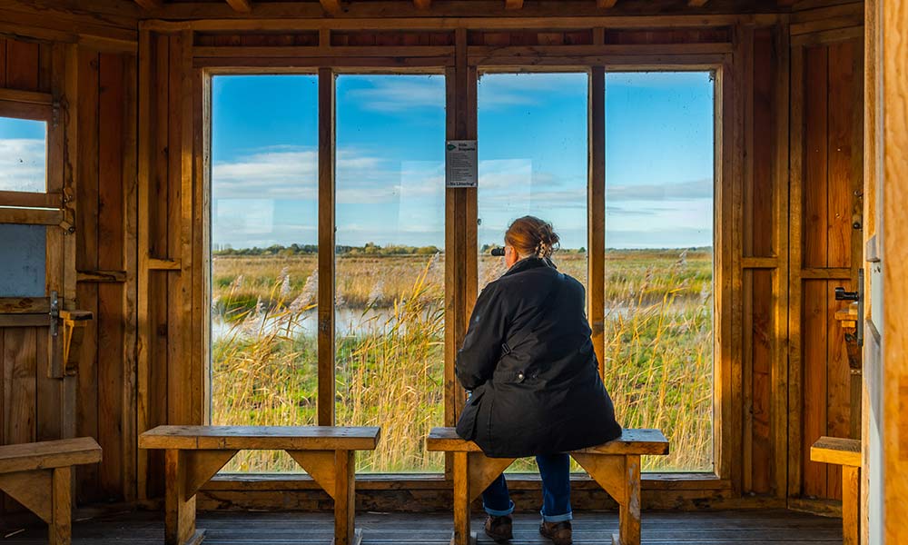 Birdwatching from a hide on Carlton Marshes