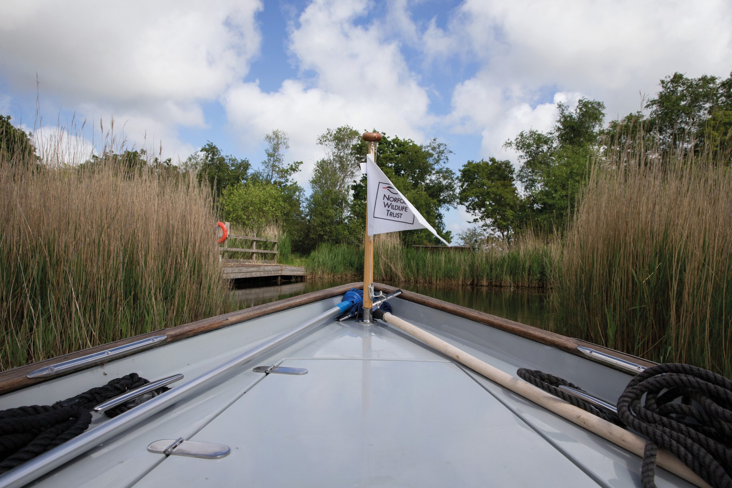 Bow of a boat amongst reeds, with Norfolk Wildlife Trust flag