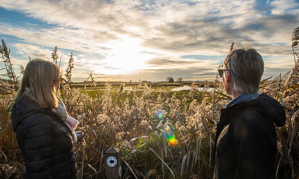2 people gazing out at sunset over the reeds, in the Broads National park