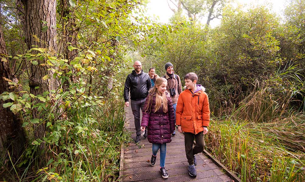 A group of adults and youngsters walking on a boardwalk, in Autumn
