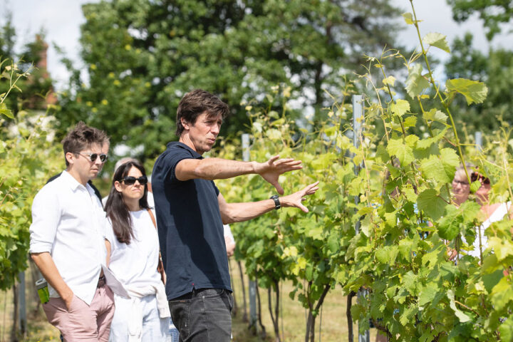 Flint Vineyard