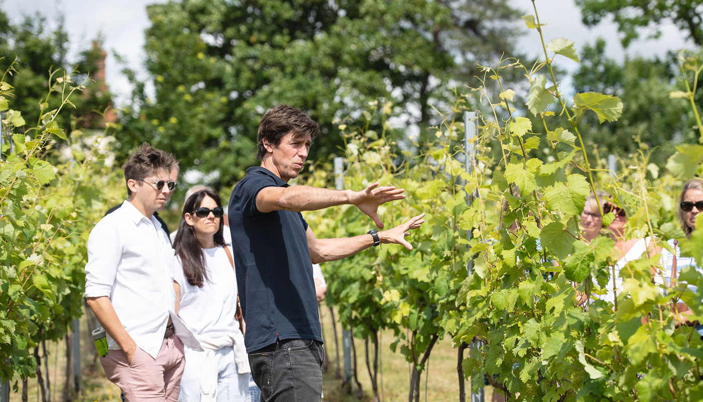 Flint Vineyard