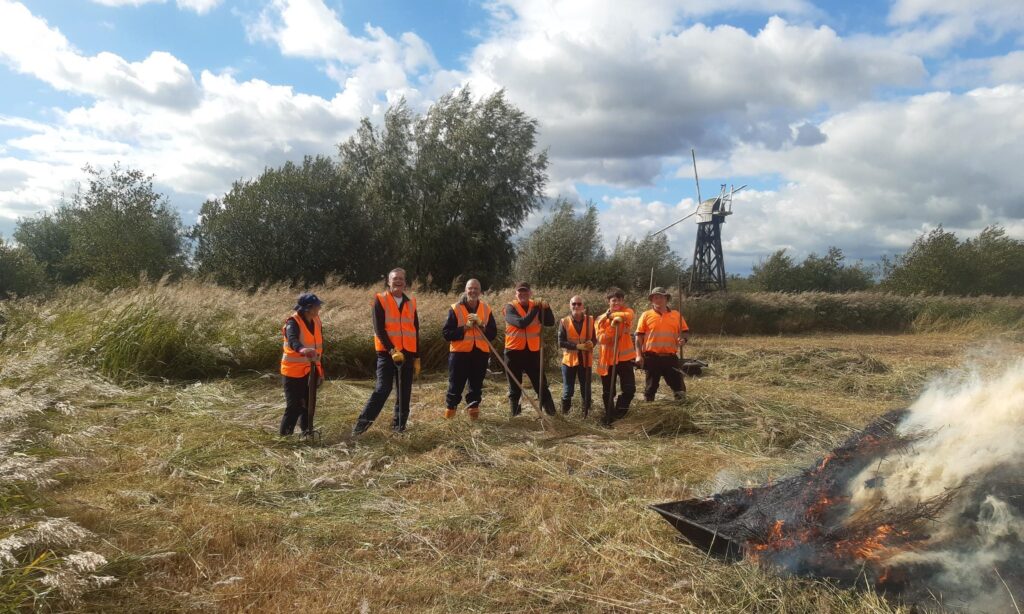 Broads Authority Volunteer Action Day - Reedham Marshes
