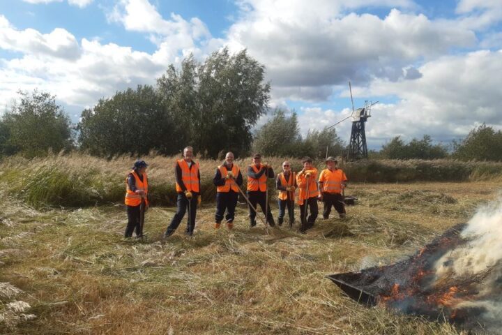 Broads Authority Volunteer Action Day - Whitlingham Marsh