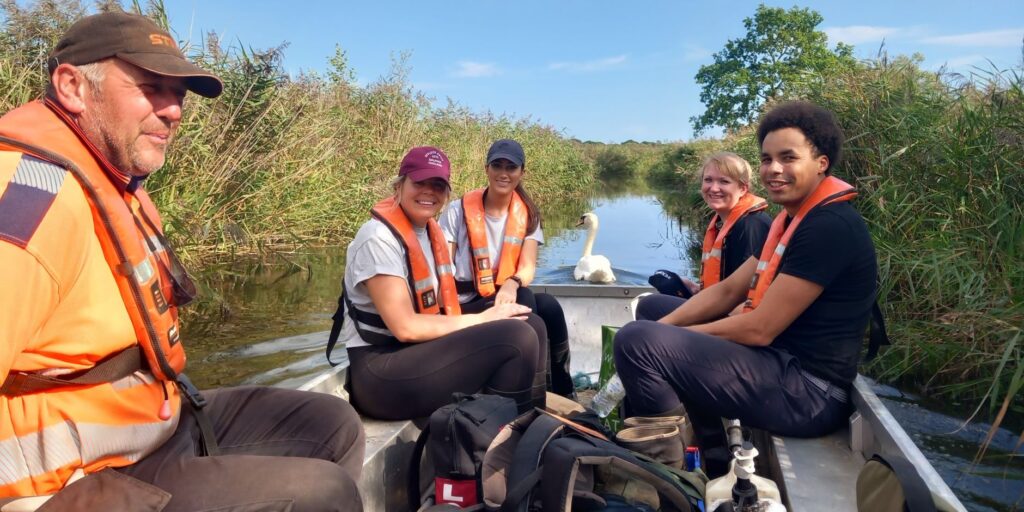 Broads Authority Volunteer Action Day - Reedham Marshes