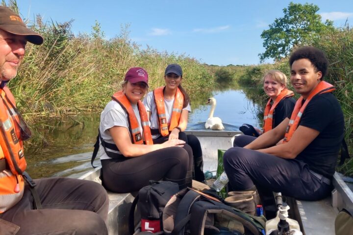 Broads Authority Volunteer Action Day - Reedham Marshes