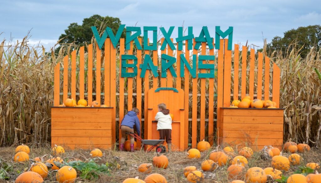 Pumpkin Patch