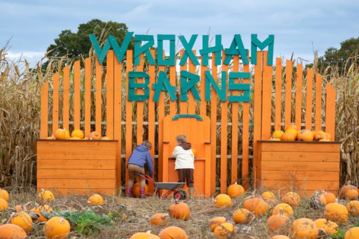 Pumpkin Patch