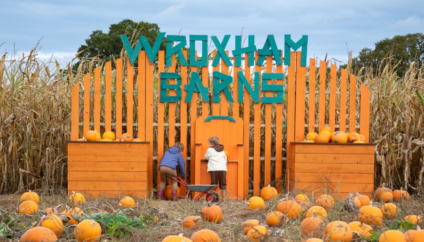 Pumpkin Patch