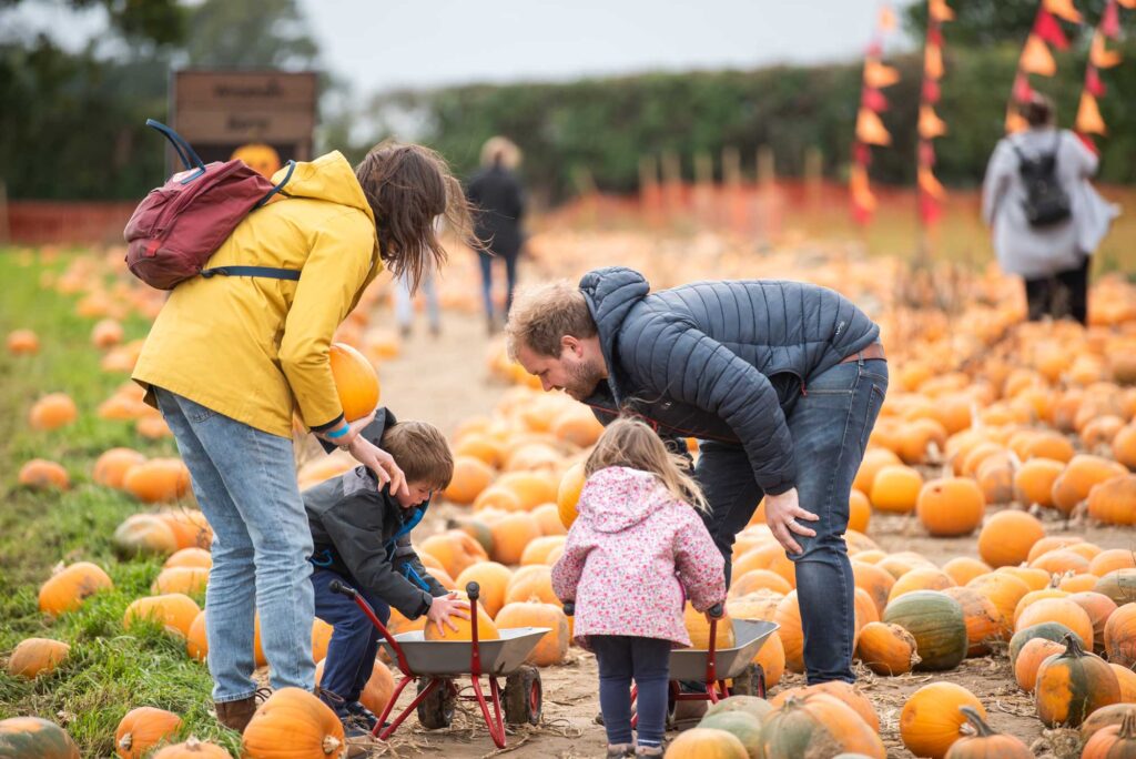 Family with two young children loading pumpkins into a wheelbarrow.