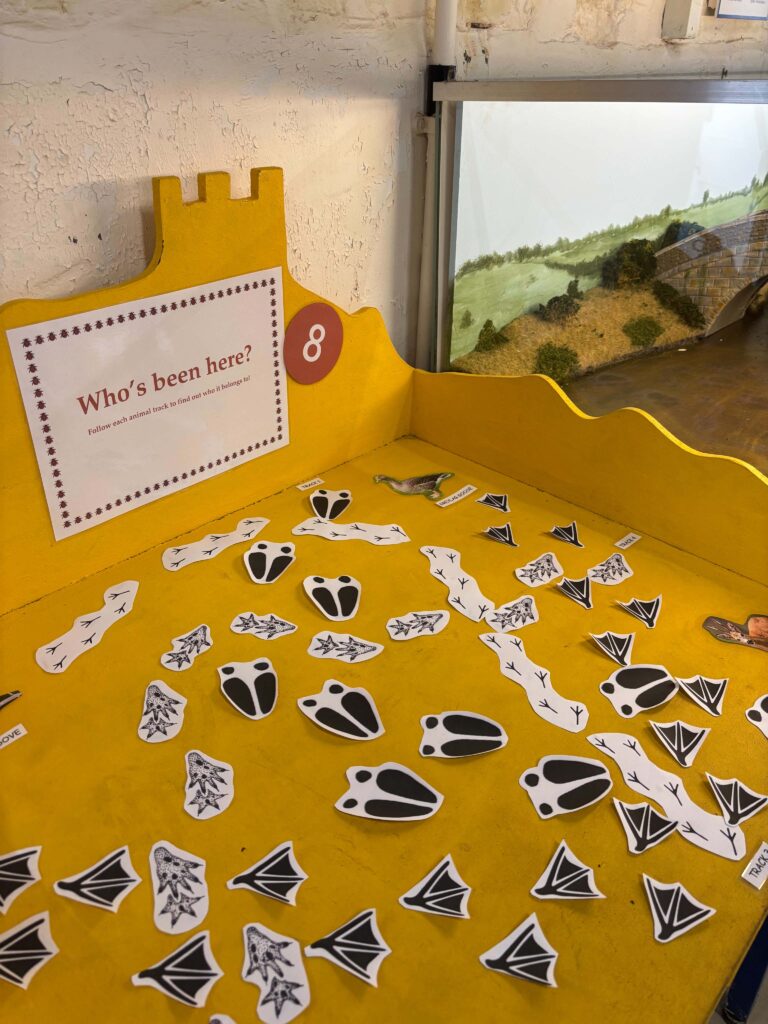🍂 HIDDEN HABITATS & CURIOUS CRAFTS! Autumn Trail