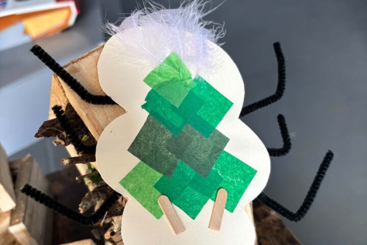 🍂 HIDDEN HABITATS & CURIOUS CRAFTS! Autumn Trail