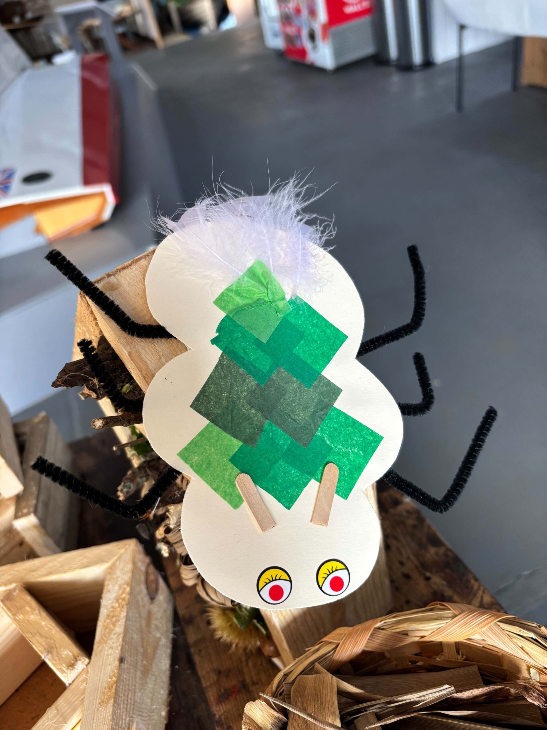 🍂 HIDDEN HABITATS & CURIOUS CRAFTS! Autumn Trail